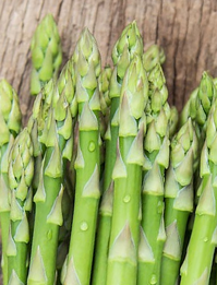 Asparagus