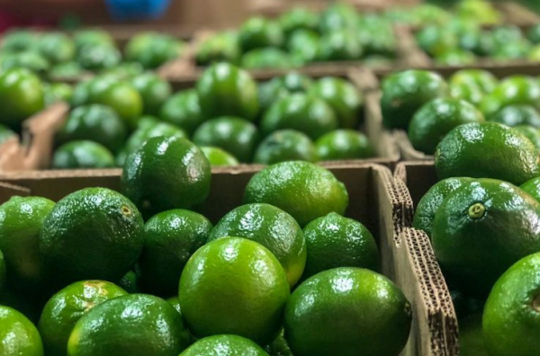 Galería Lima tahití